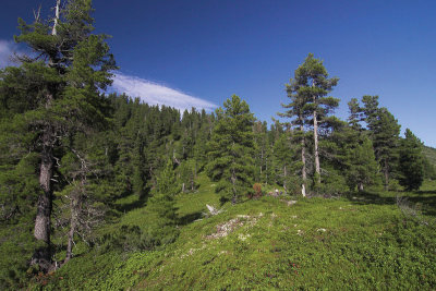 CRW_9408_.jpg