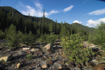 CRW_9545_.jpg