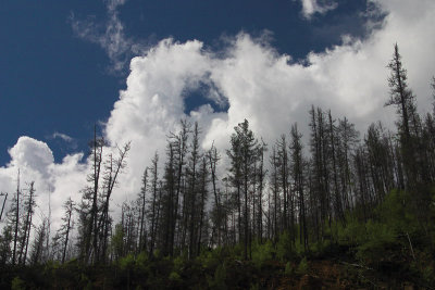 CRW_0093_.jpg