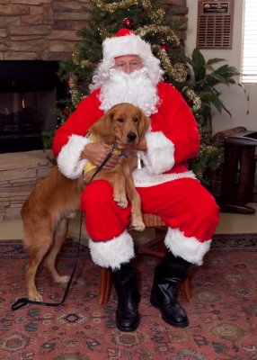 CCI Holiday 037 5x7
