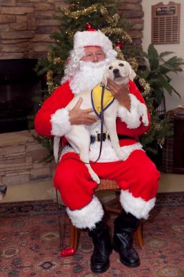 CCI Holiday 063.jpg
