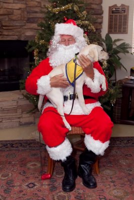 CCI Holiday 064.jpg