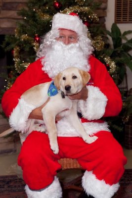 CCI Holiday 114.jpg