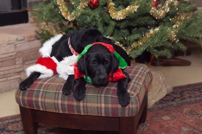 CCI Holiday 186.jpg