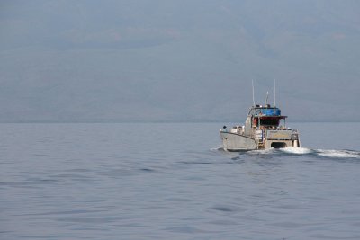 IMG_0976.jpg