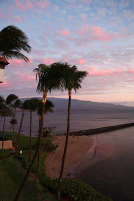 Maui 2011_009.jpg