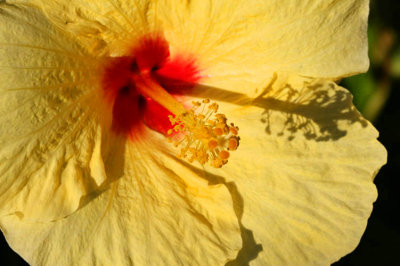 Maui 2011_114.jpg