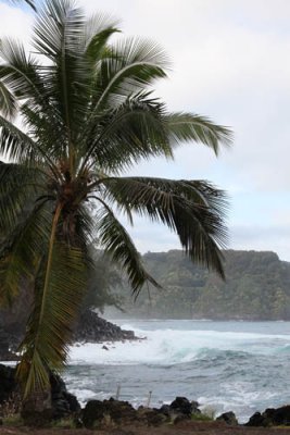 Maui 2011_136.jpg