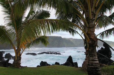 Maui 2011_137.jpg