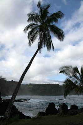 Maui 2011_138.jpg