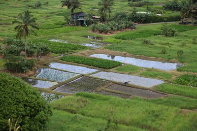 Maui 2011_140.jpg