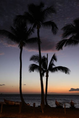 Maui 2011_342.jpg
