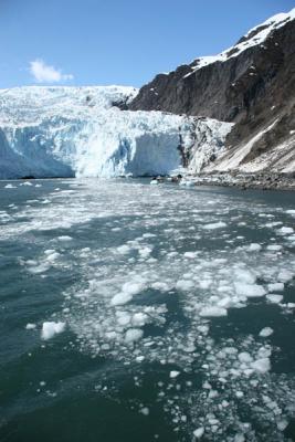 Holgate Glacier and ice in water