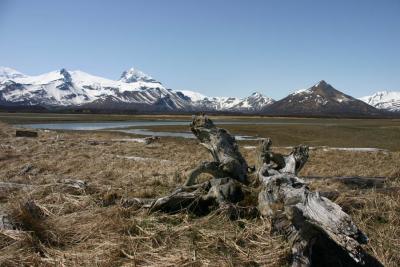 Hallo Bay in Katmai National Park