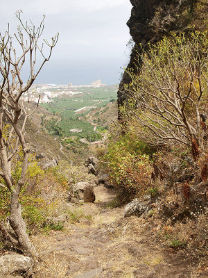 Vista de Los Silos / View of Los Silos