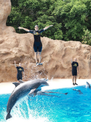 Y el tpico show de los delfines / And the typical dolphin's show