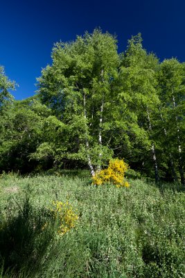LR-IMG_6038.jpg