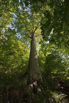LR-IMG_6123.jpg