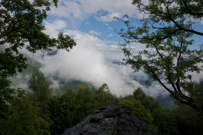 Wild Weather