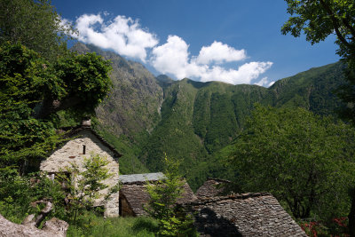 DPP-IMG_6136.jpg