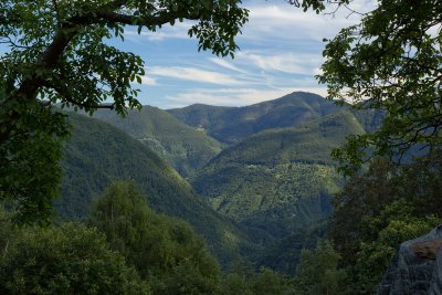 LR-IMG_0253.jpg