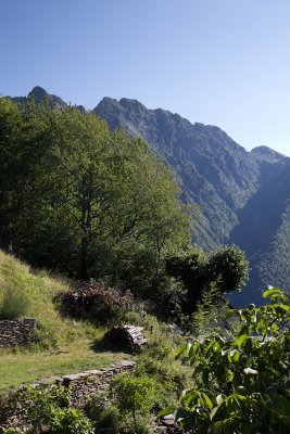 LR-IMG_0321.jpg