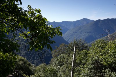 LR-IMG_0323.jpg