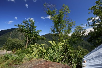 LR-IMG_0374.jpg