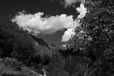 LR-IMG_0223.jpg