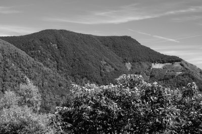 LR-IMG_0239.jpg