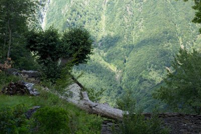 LR-IMG_0246.jpg