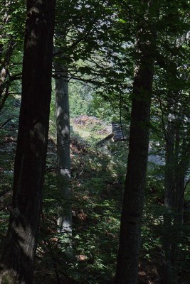 LR-IMG_0390.jpg