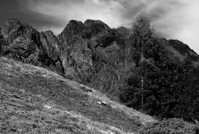 LR-IMG_0426.jpg