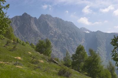 CRW_9622-01.jpg