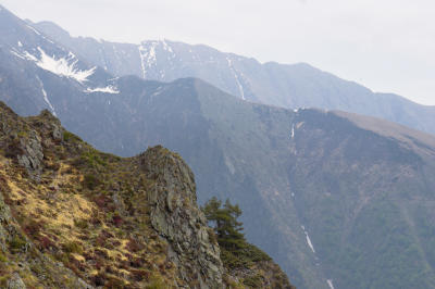 CRW_9629-01.jpg