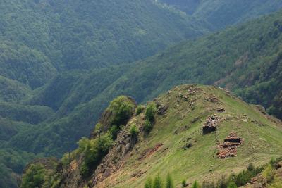 CRW_9720.jpg