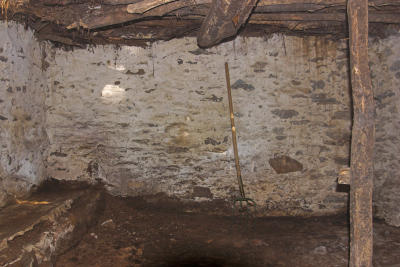 CRW_9551-01.jpg