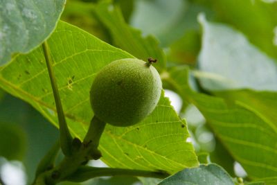 CRW_0328.jpg