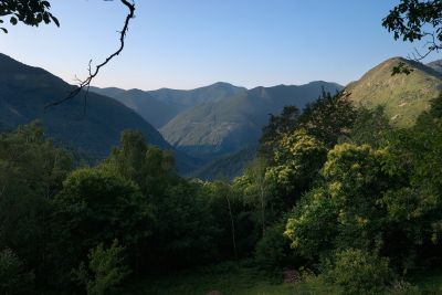 CRW_0240-07112006.jpg