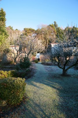 Winter Paths