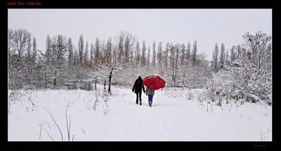 Little Red Umbrella