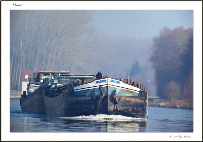 Marion