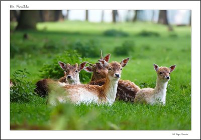 En Famille