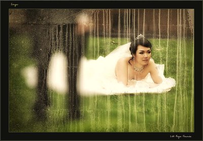 Songes