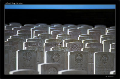 Cabaret Rouge Cemetery Souchez