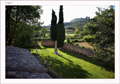 Vaugines