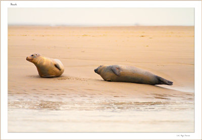 Berck un repos bien mérité
