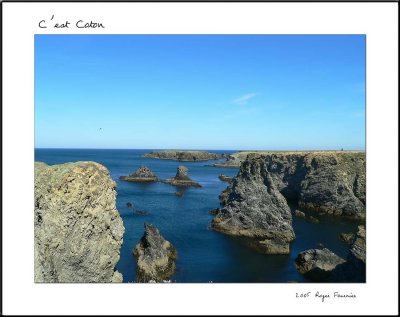 c'est Coton