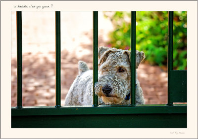 c'est quand qu'on est libre ?