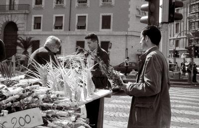 palm seller